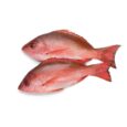 Red Snapper _ Common Pandora Wholesale