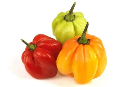 Fresh Mixed Hot Peppers Box 1kg – Red, Green & Yellow