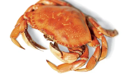 Frozen Crab Cuts 700g