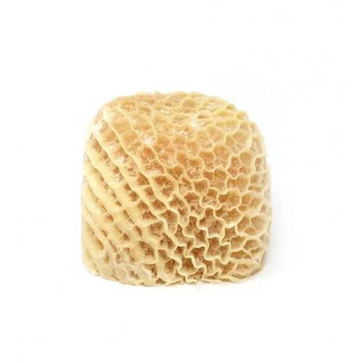 honeycomb-tripe-saki_large__18642_1697127584_1280_1280