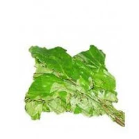 Fresh Oha Leaves – 1 Bunches | Nigerian Soup Leaf