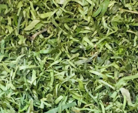Fresh Okazi(Ukazi/Afang) Leaves 200g