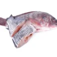 tilapia_2__02891_1697124781_1280_1280