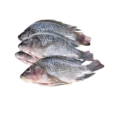 tilapia_bag__89525_1697124780_1280_1280