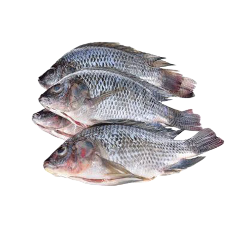 tilapia_bag__89525_1697124780_1280_1280