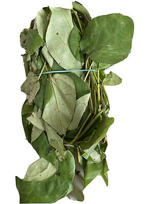 Fresh Uziza Leaves – 1 Bunches | Aromatic Nigerian Spice Leaf