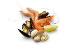 Shellfish & Others