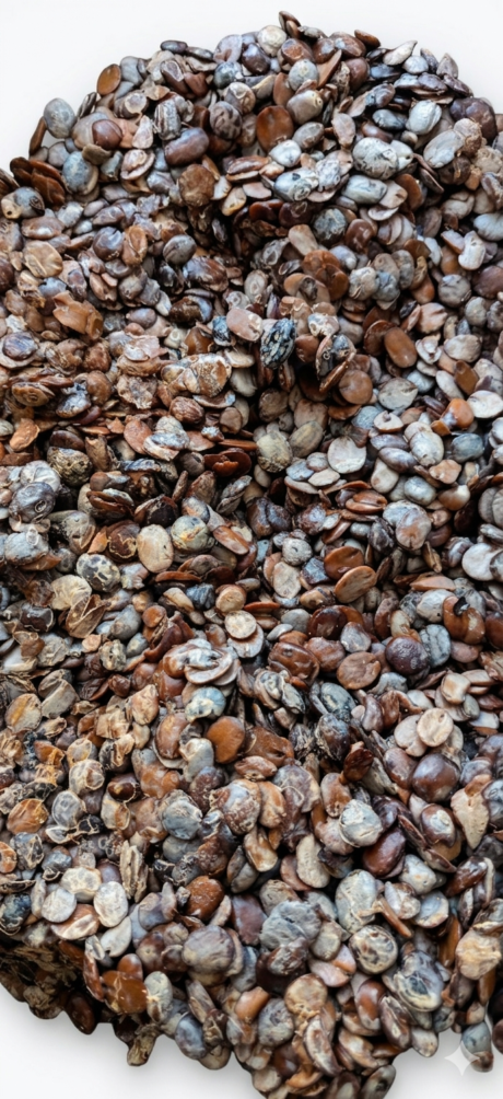 Iru (Fermented Locust beans)