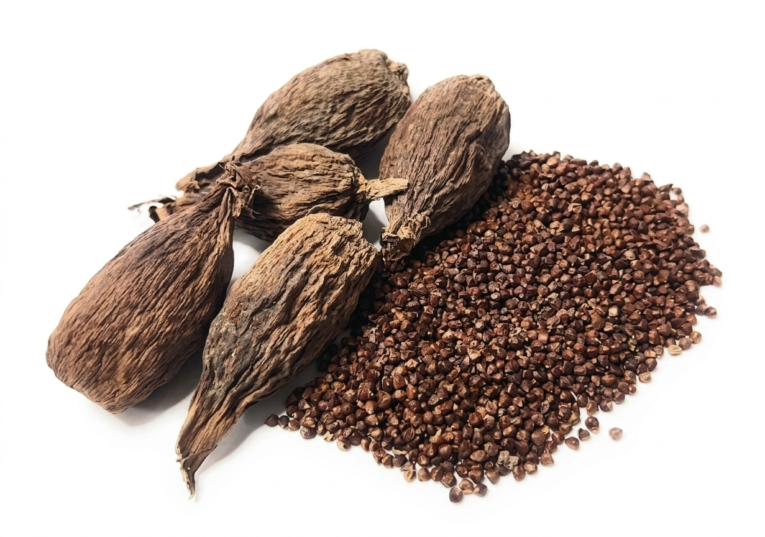 Gemini_Generated_Image_bgdu46bgdu46bgdu