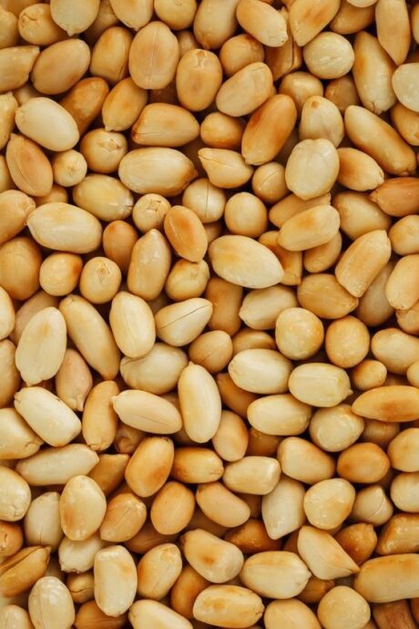 Groundnut