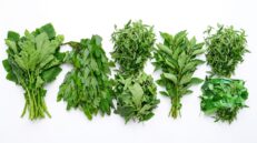 Soup Leaves