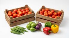 Vegetables