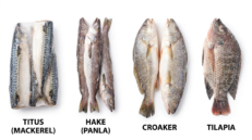 Frozen Fish