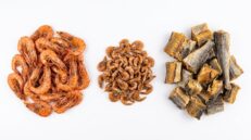 Shellfish & Others