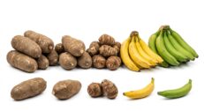 Yam & Plantain