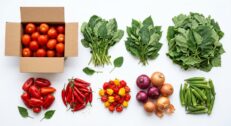 Leaves & Fresh Vegetables